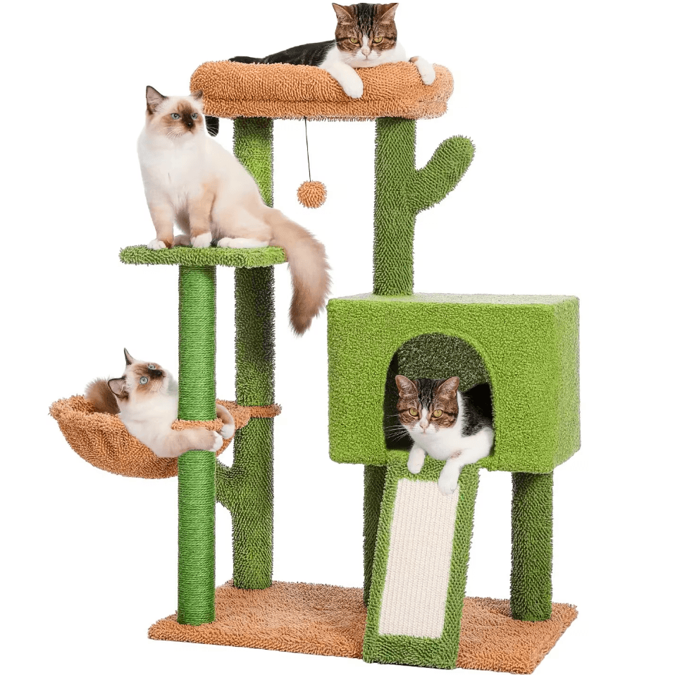 Ansamblu de Joaca pentru Pisici - Cactus